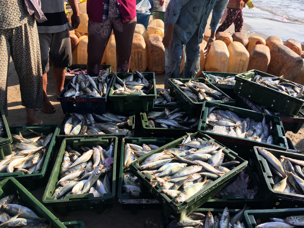 import seafood from vietnam