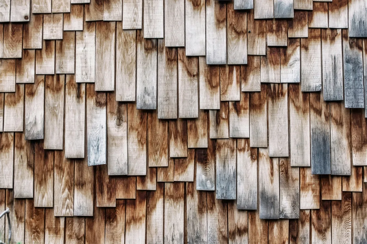 Vietnam’s wood industry in 2025 is thriving despite trade headwinds. Explore how sustainability, digitalization, and market diversification are fueling growth in one of Vietnam’s top export sectors.